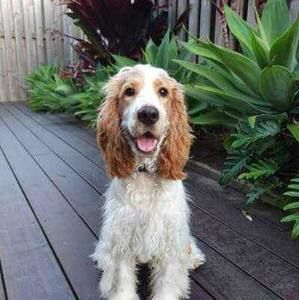 Meet your Posher, Jody